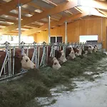 Bio- Bauernhof Obermaurach *