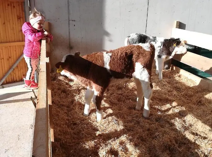 Bio- Bauernhof Obermaurach