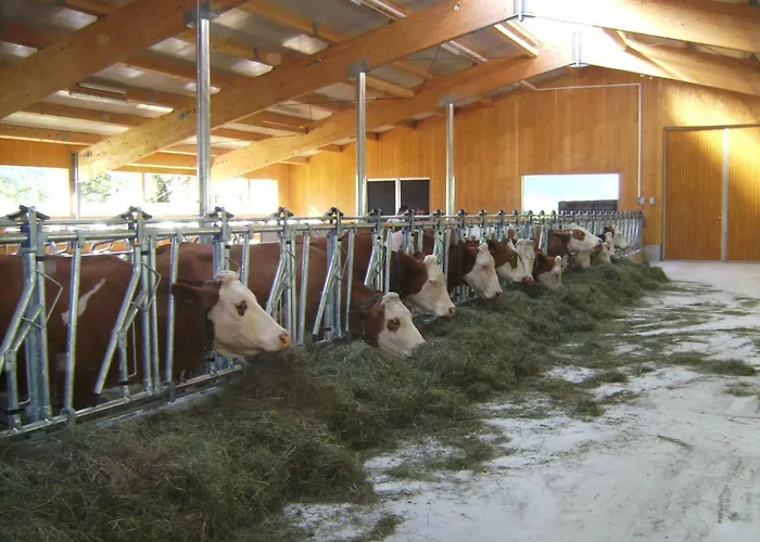 Bio- Bauernhof Obermaurach *